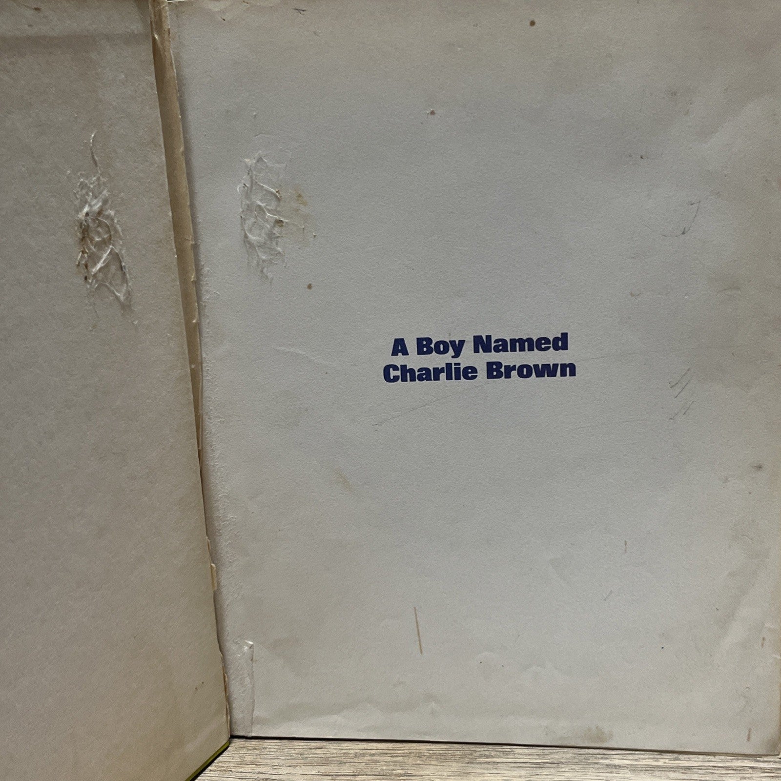 A Boy Named Charlie Brown by Charles M. Schulz 1969 Hardcover