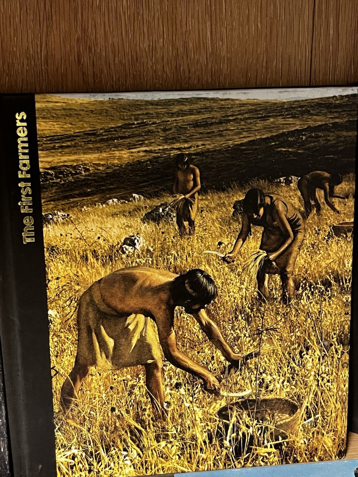 The Emergence of Man Time Life Books Set of 5