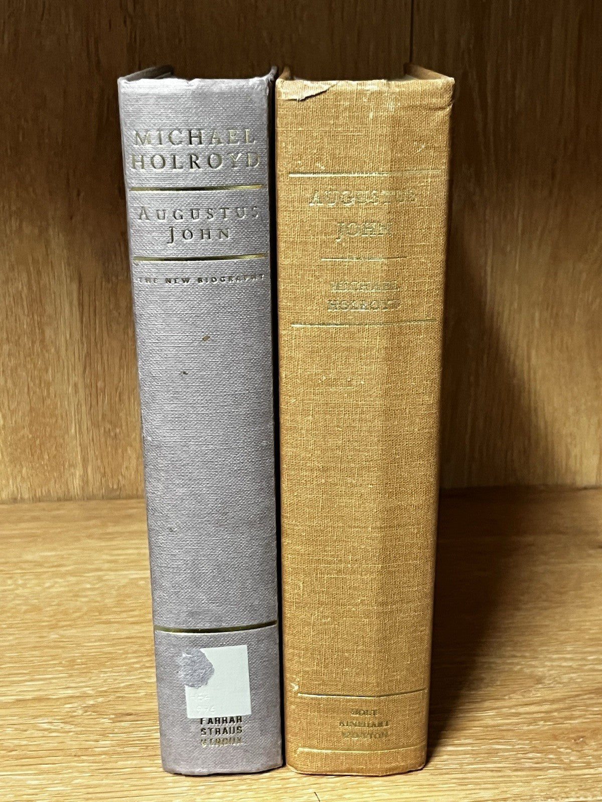 Augustus John : A Biography by Michael Holroyd  1975 & 1996 Ed Lot of 2