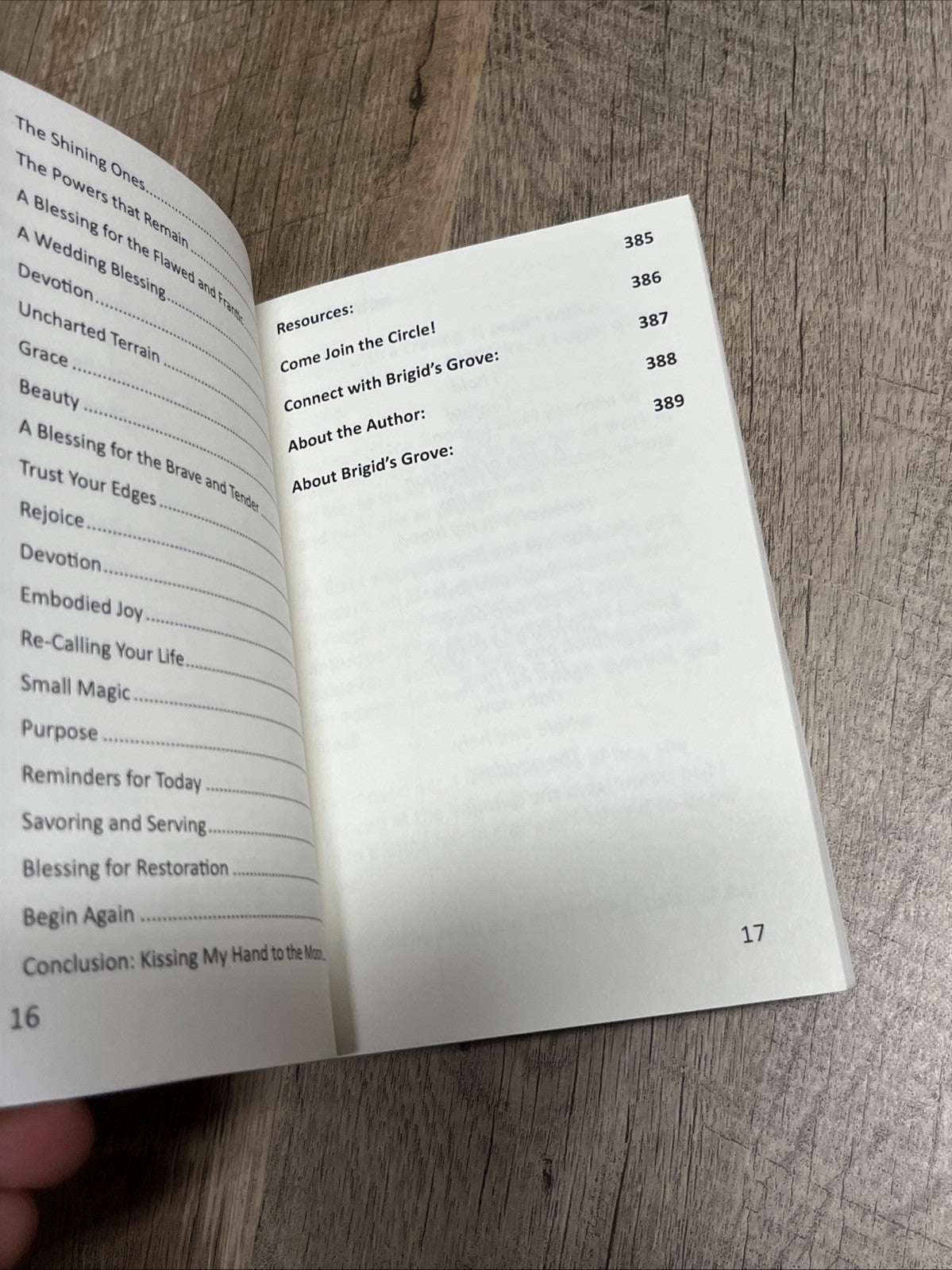 Whole and Holy: a Goddess Devotional by Remer, Molly Book The Fast Free Shipping