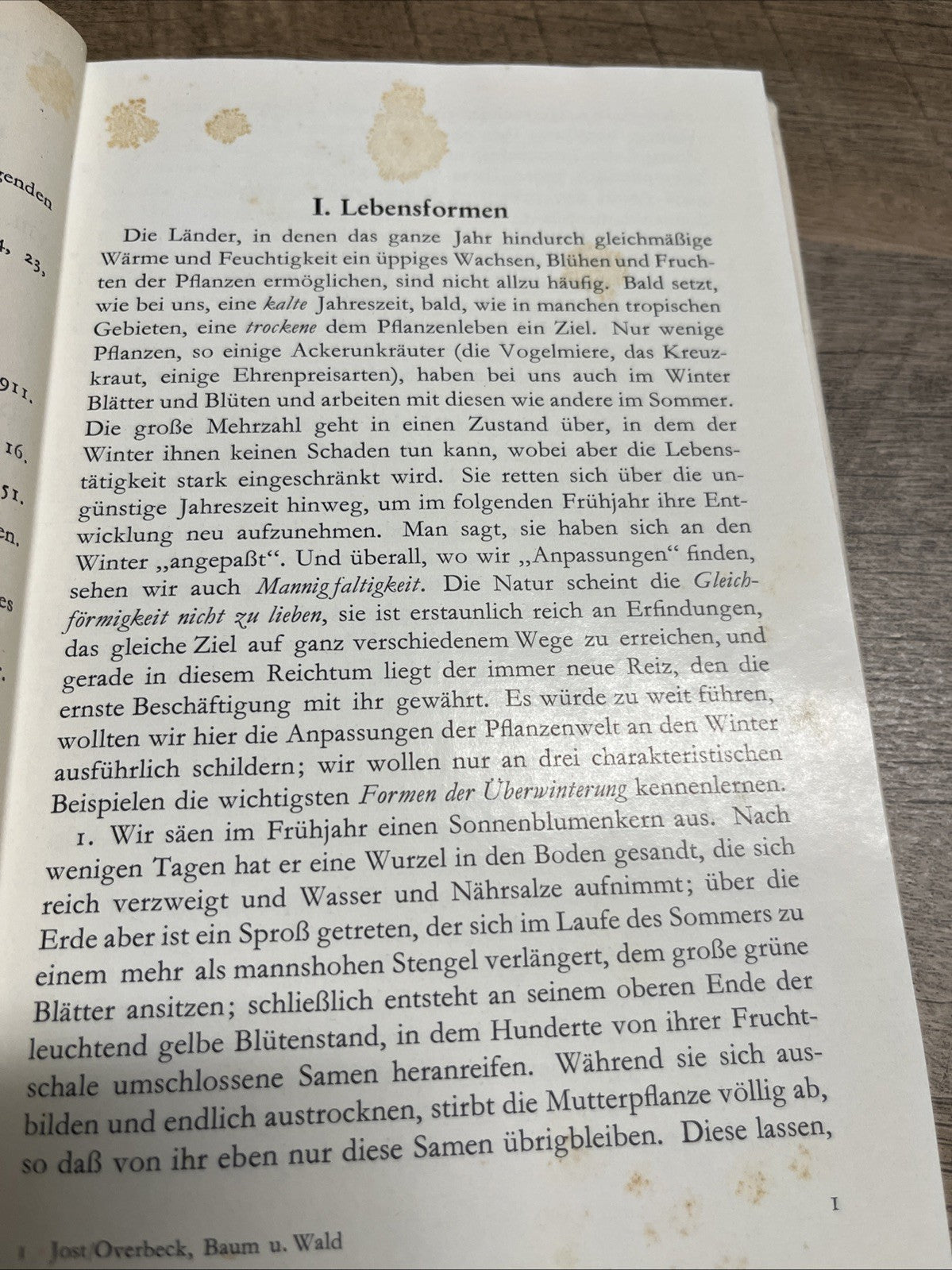 Verstandliche Wissenschaft L. Jost. F. Overbeck Baum Und Wald 1952