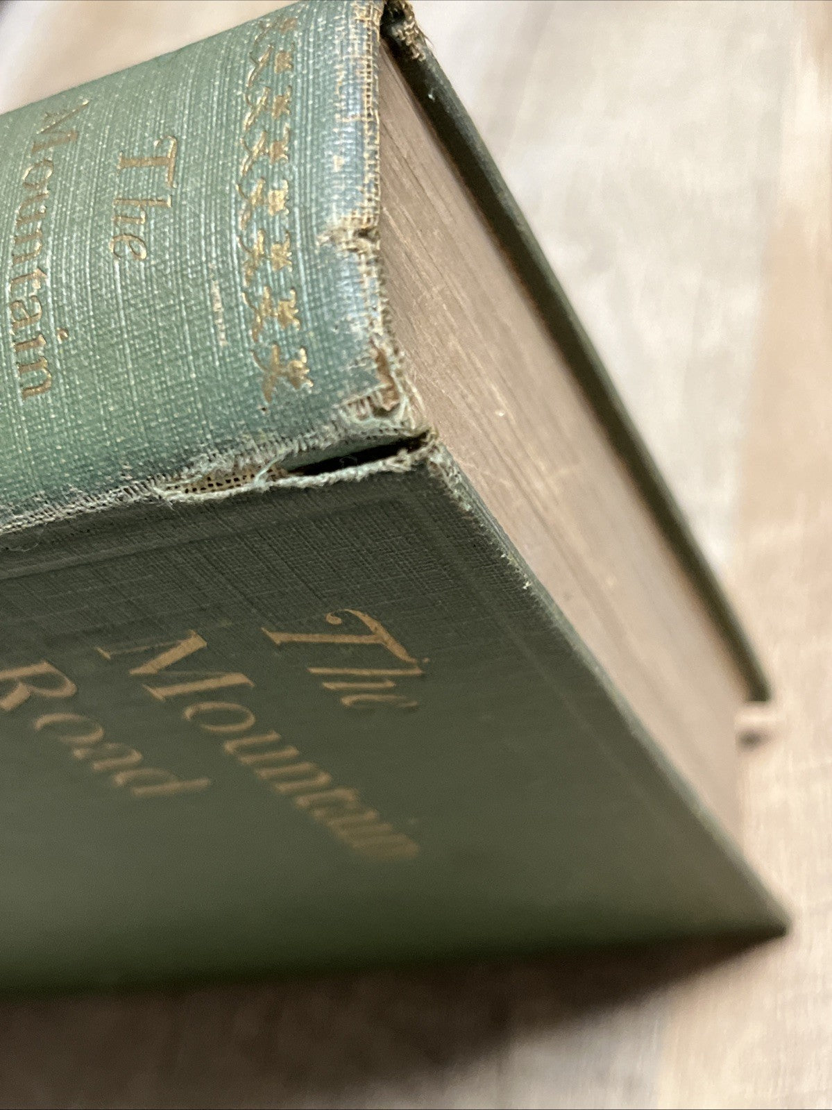 The Mountain Road First Edition 1935 by thomas dreier