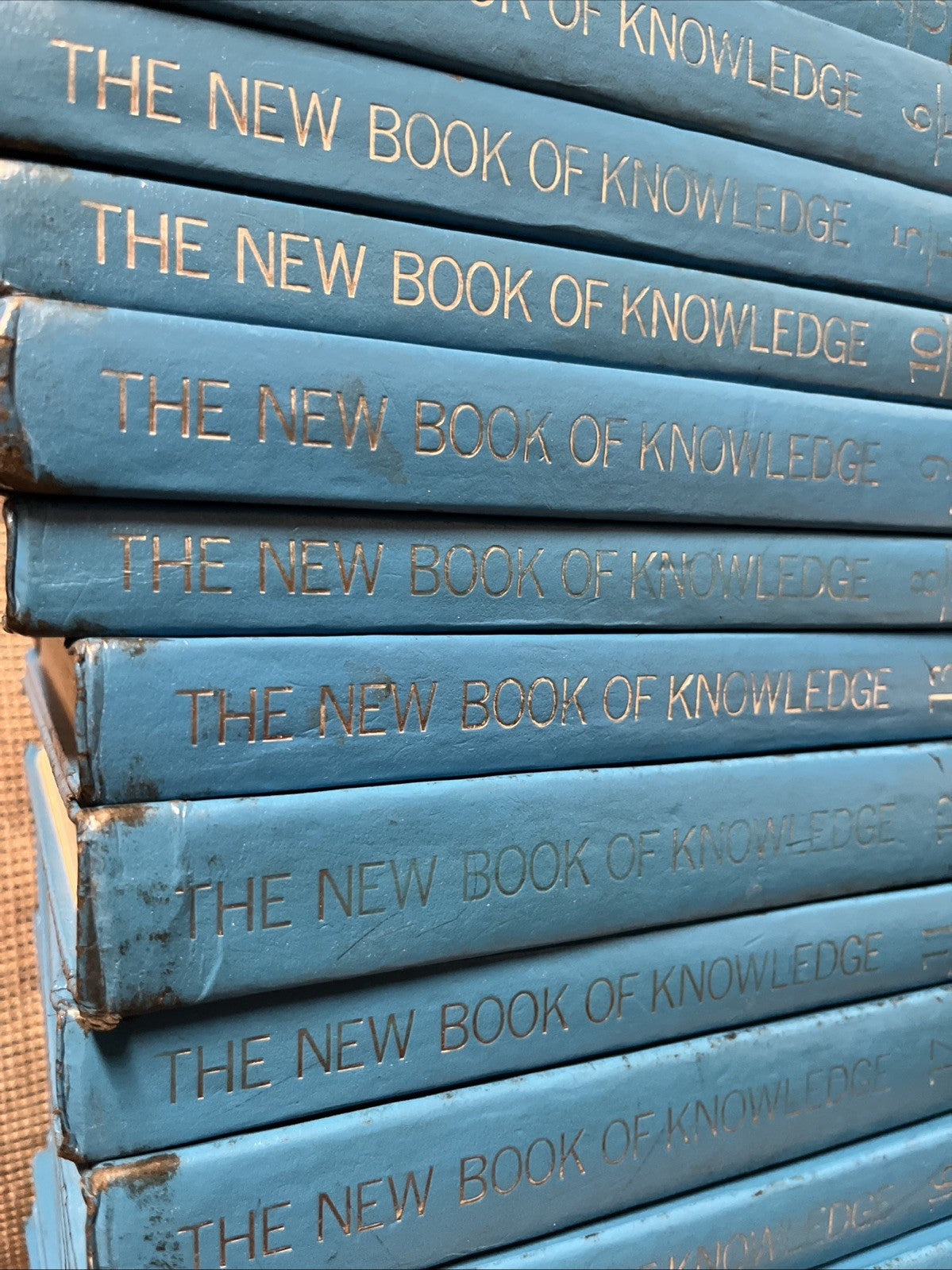 The New Book of Knowledge Encyclopedia 1989 Complete Set 21 Vols. Deluxe Lib Ed