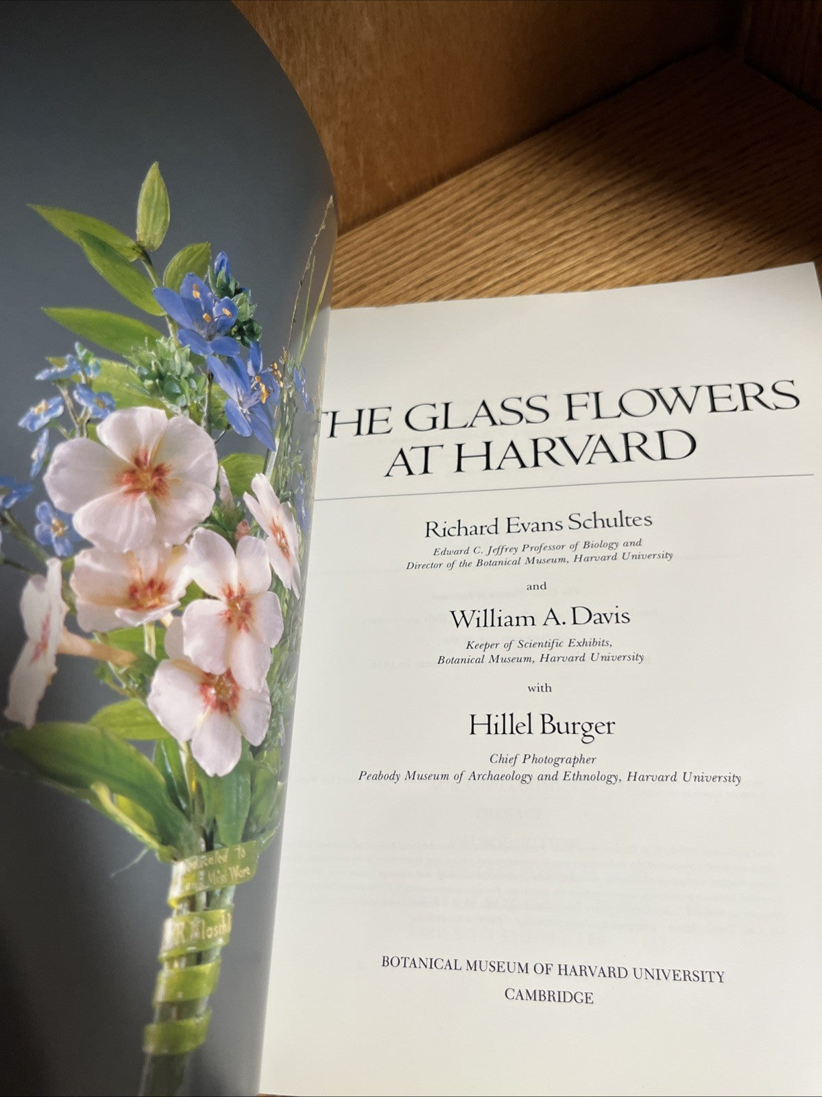 The Glass Flowers at Harvard by Richard Evans Schultes & William A. Davis pb