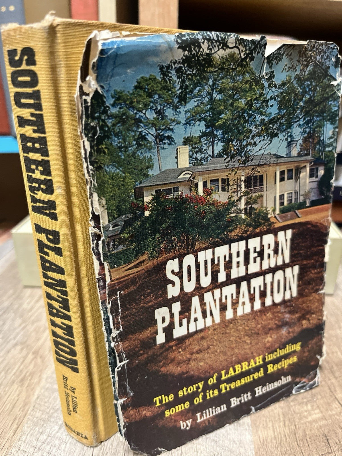 Southern Plantation 1st Edition Lillian Britt Heinsohn 1962