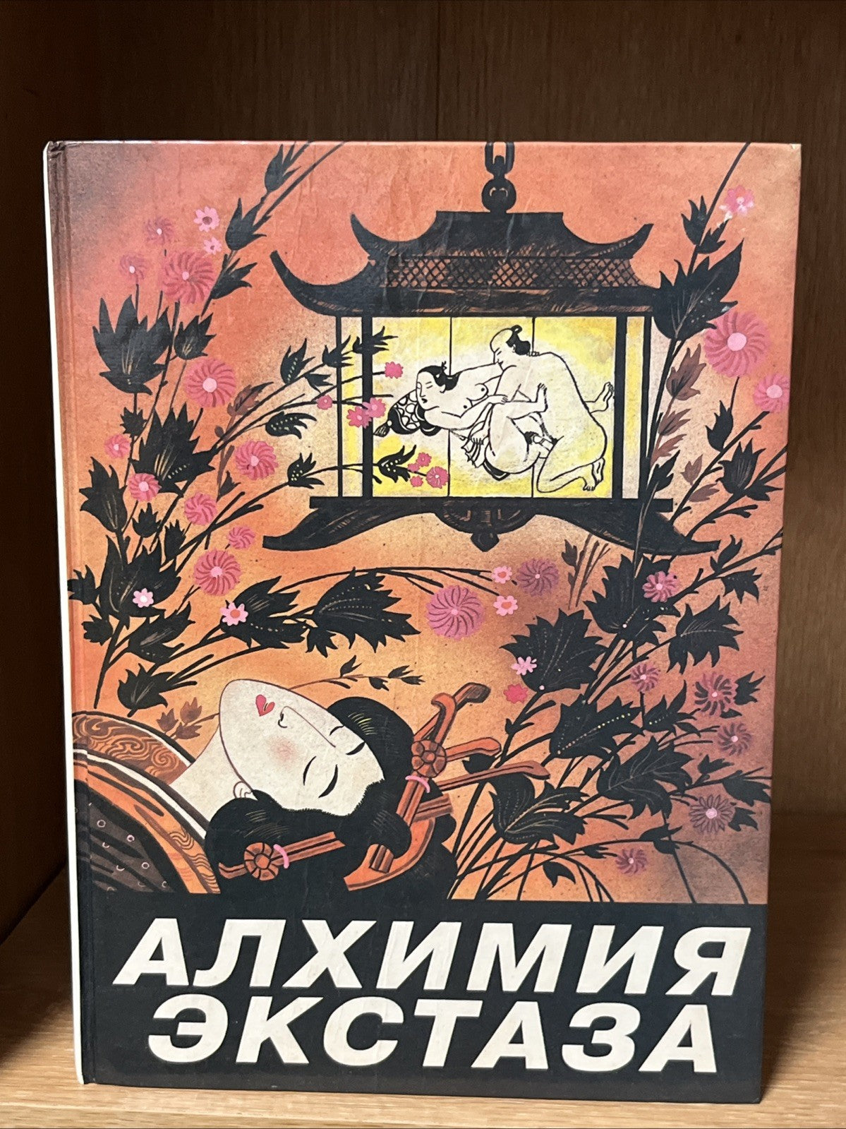Алхимия экстаза Сексуальные секреты Alchemy of Ecstasy. Sexual Secrets