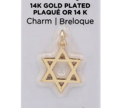 Star Of David 14k Gold Filled Necklace Pendant