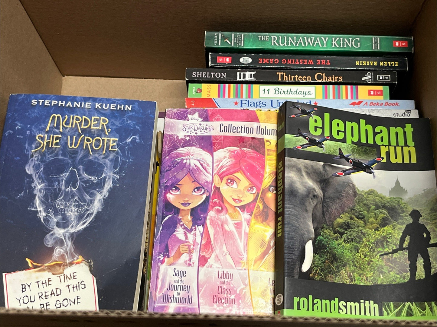 teen book lot 10 Lbs