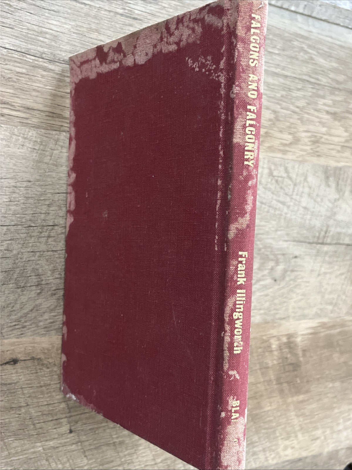 Falcons and Falconry by Frank Illingworth - Hardcover 1964 Acceptable Condition