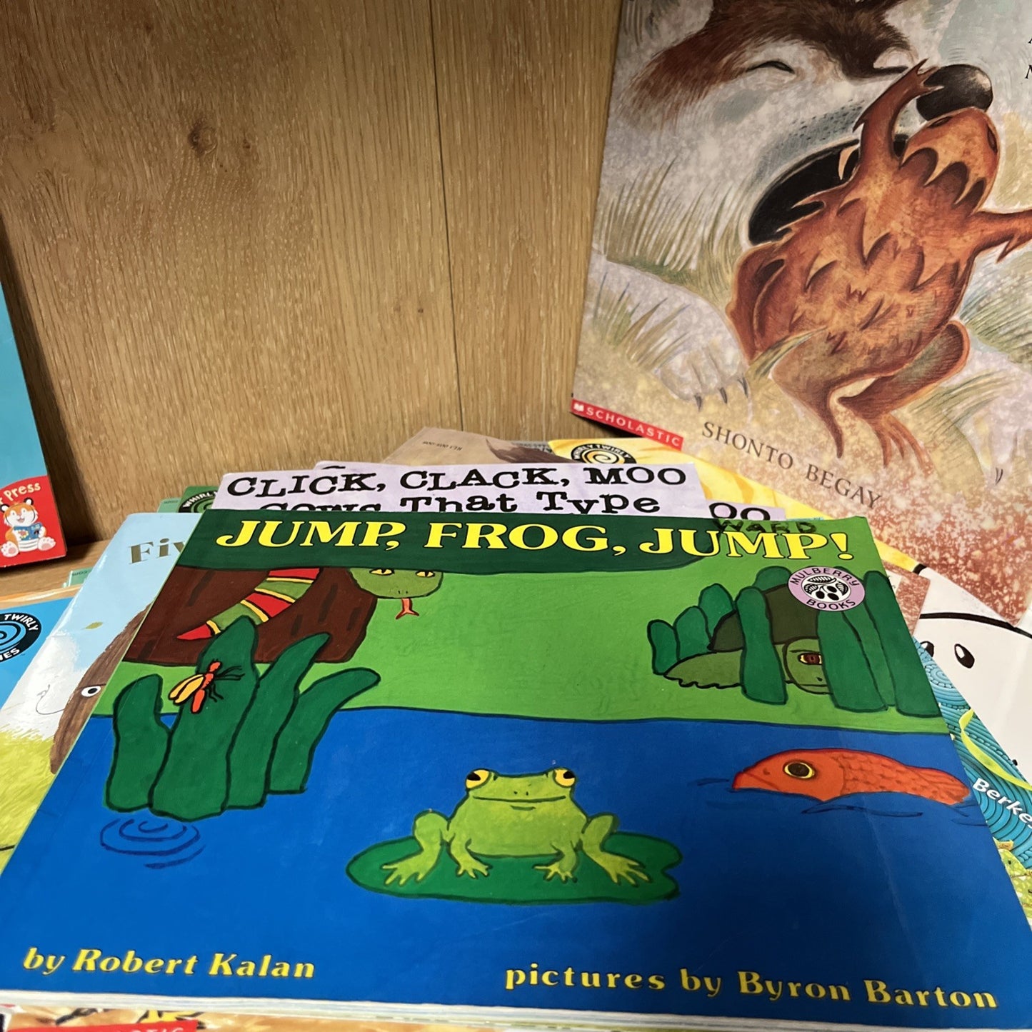 Scholastic Picture Book Lot 10 RANDOM