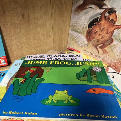 Scholastic Picture Book Lot 10 RANDOM