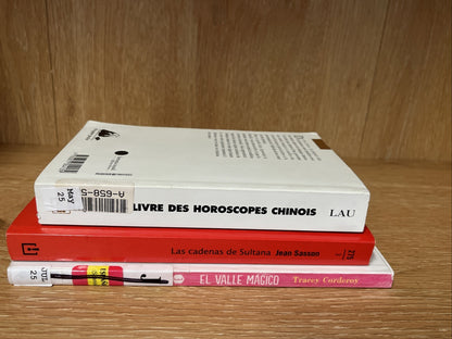 Lot of 3 Spanish Books