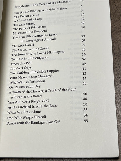 This Longing: Poetry, Teaching Stories, & Letters of Rumi Translated By Coleman