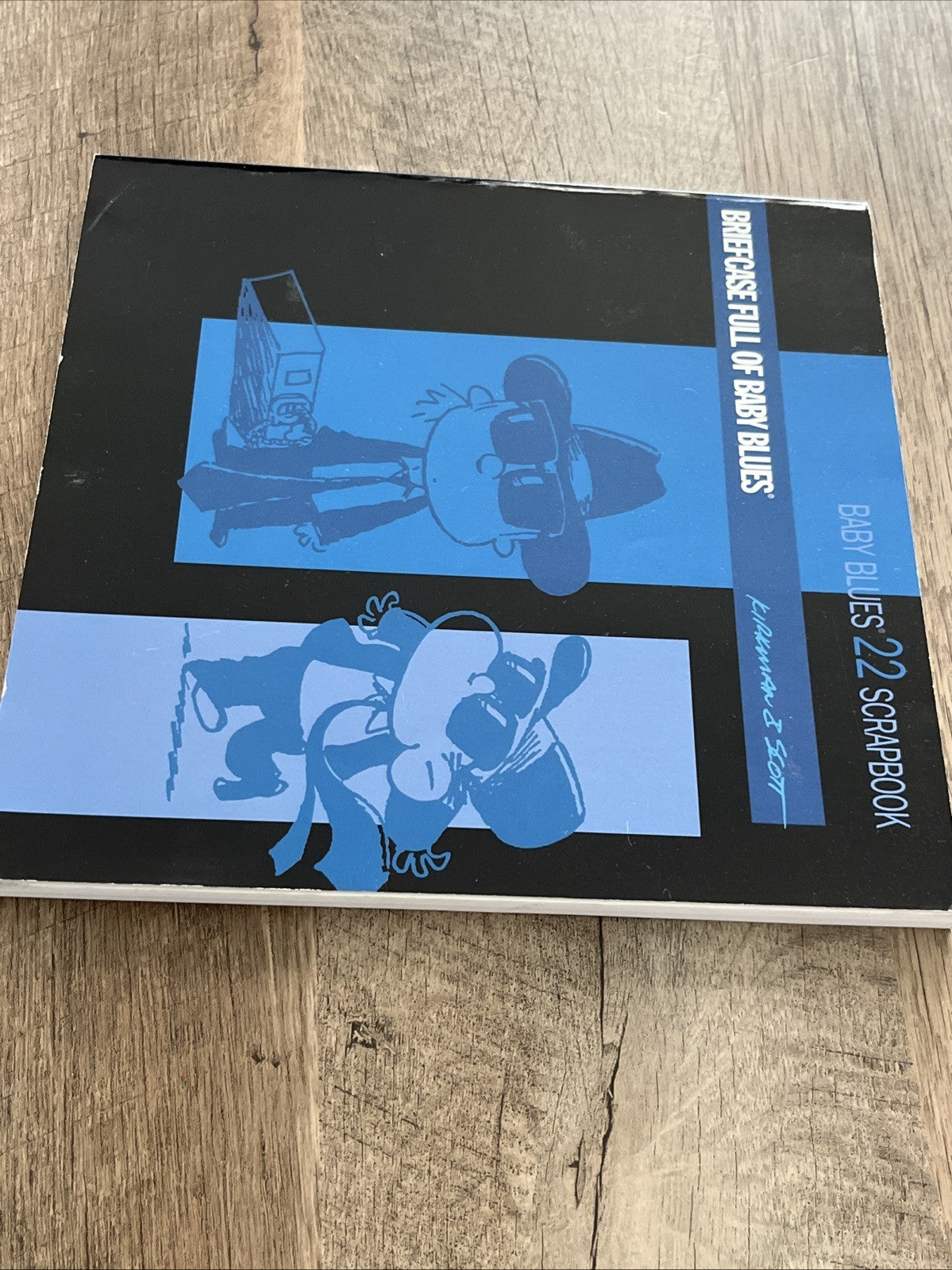 BRIEFCASE FULL OF BABY BLUES By Rick Kirkman & Jerry Scott *Excellent Condition*