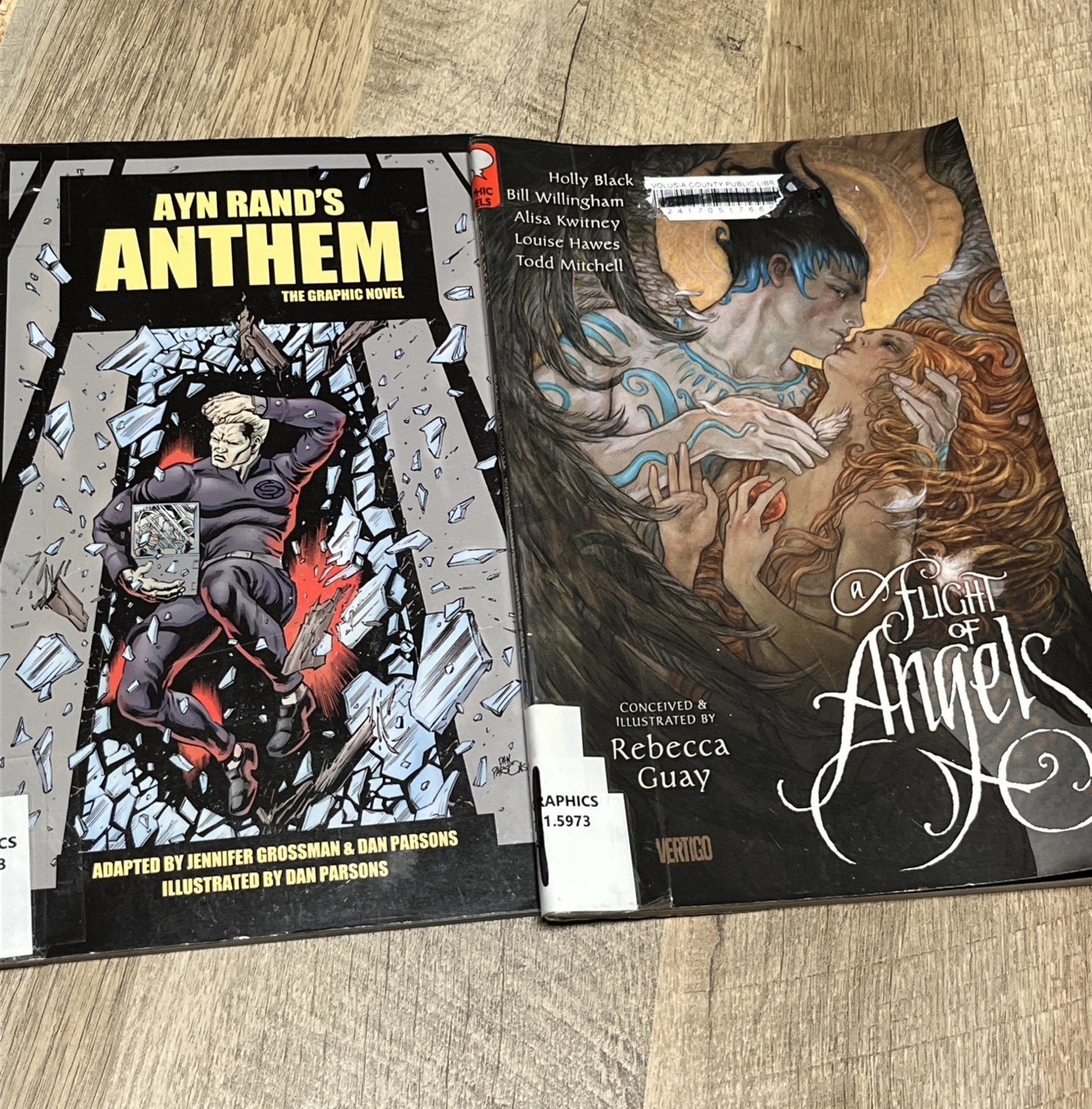 Graphic Novel Lot Of 2Books A Flight Of Angels Vertigo And Ayn Anthem