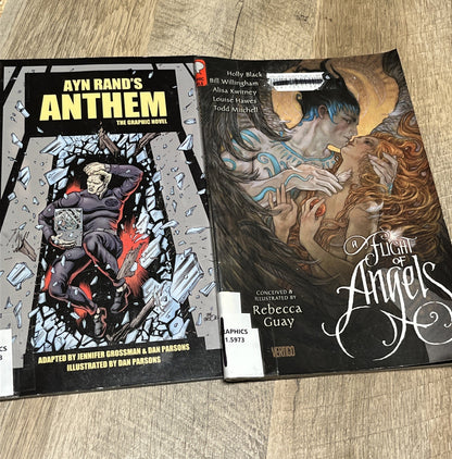Graphic Novel Lot Of 2Books A Flight Of Angels Vertigo And Ayn Anthem
