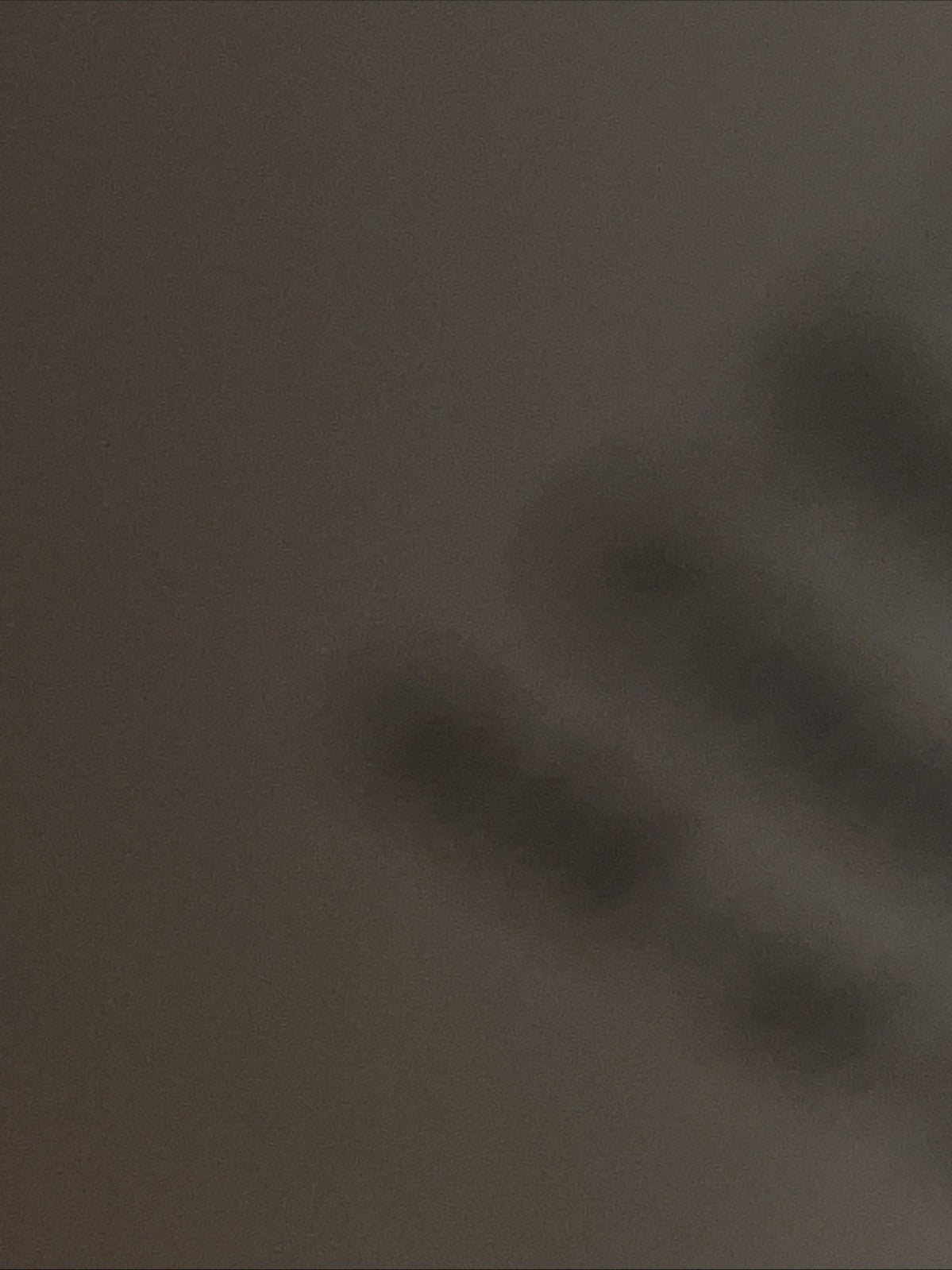 Ein Kind entsteht Bilddokumentation über die Entwicklung des  Lebens im