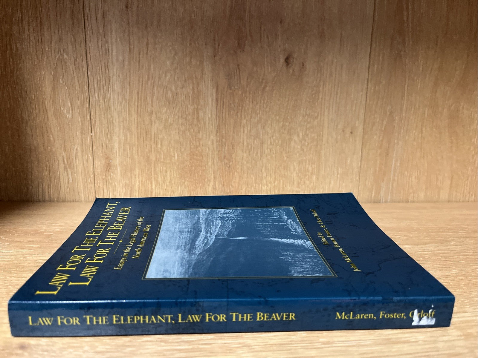LAW FOR THE ELEPHANT, LAW FOR THE BEAVER, edited by John McLaren et al.