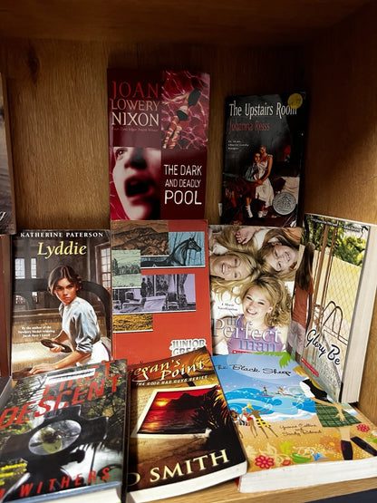 Young Adult book lot 20 Random