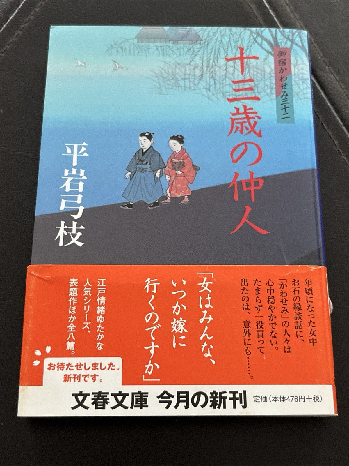 Japanese Novel Book Onyado Kawasemi Series Yumie Hiraiwa Hon 平岩弓枝 御宿かわせみ 時代小説  