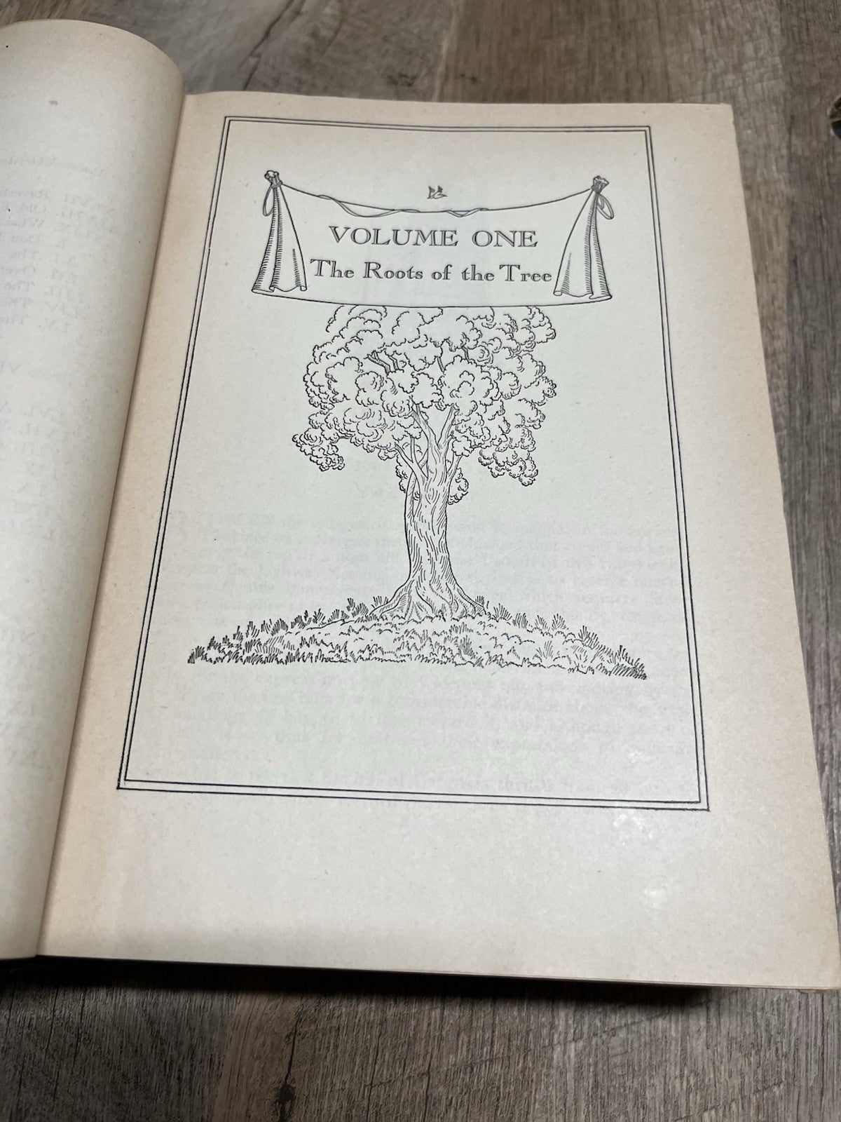 Anthony Adverse 1st Edition 1933 by Hervey Allen Farrar and Riehard inc.