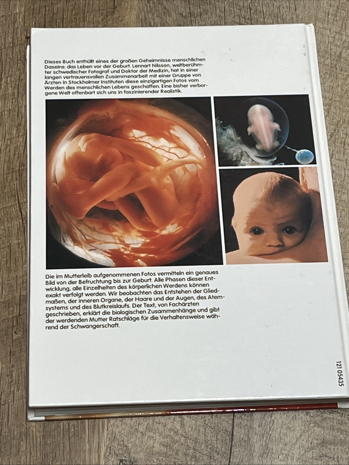 Ein Kind entsteht Bilddokumentation über die Entwicklung des  Lebens im