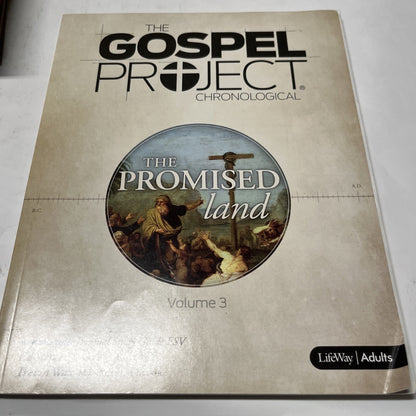 The Goapel Project Chronological The Promised Land Volume 3  2016 Personal Study