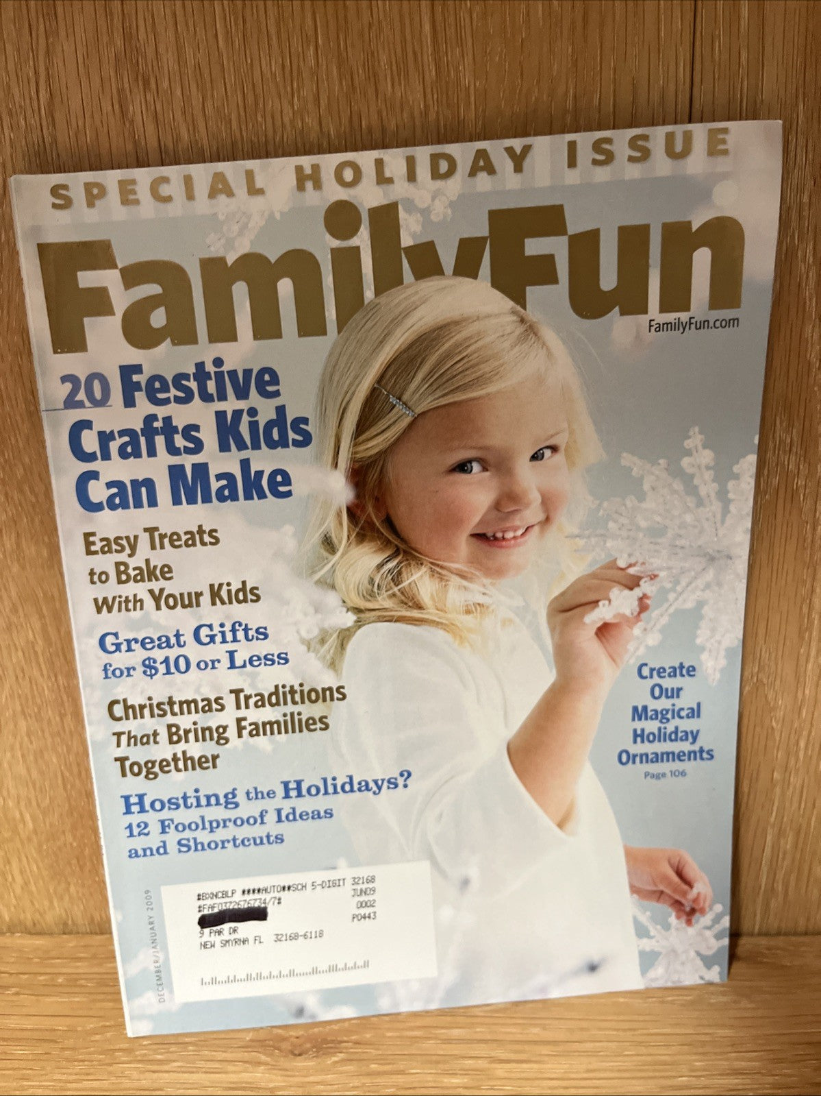 Family Fun Magazine 9 Lot 2008 and 2009 Assorted Issues