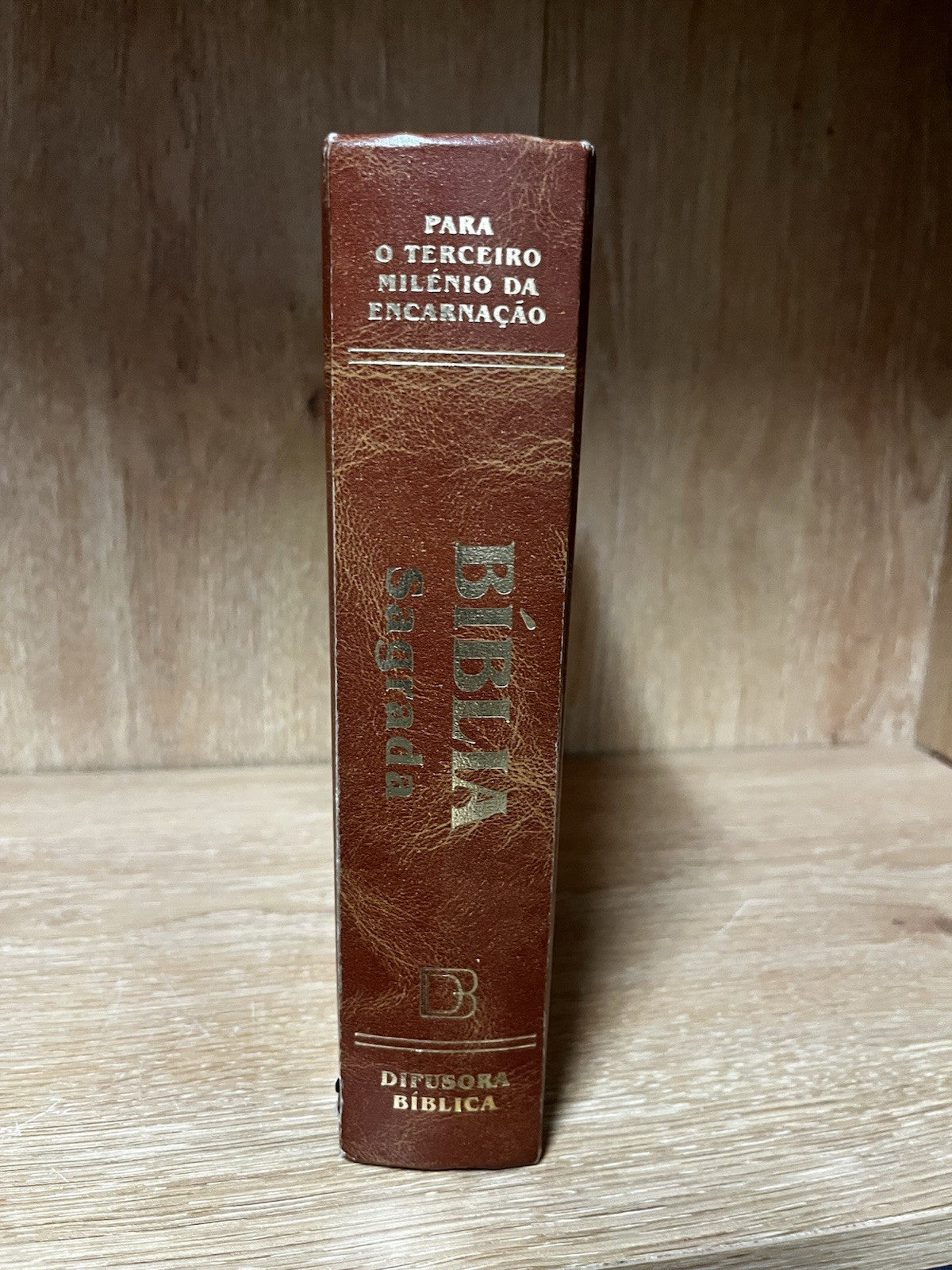 biblia sagrada portuguese Difusora Biblical PARA O TERCEIRO MILENIO ENCARNACAO