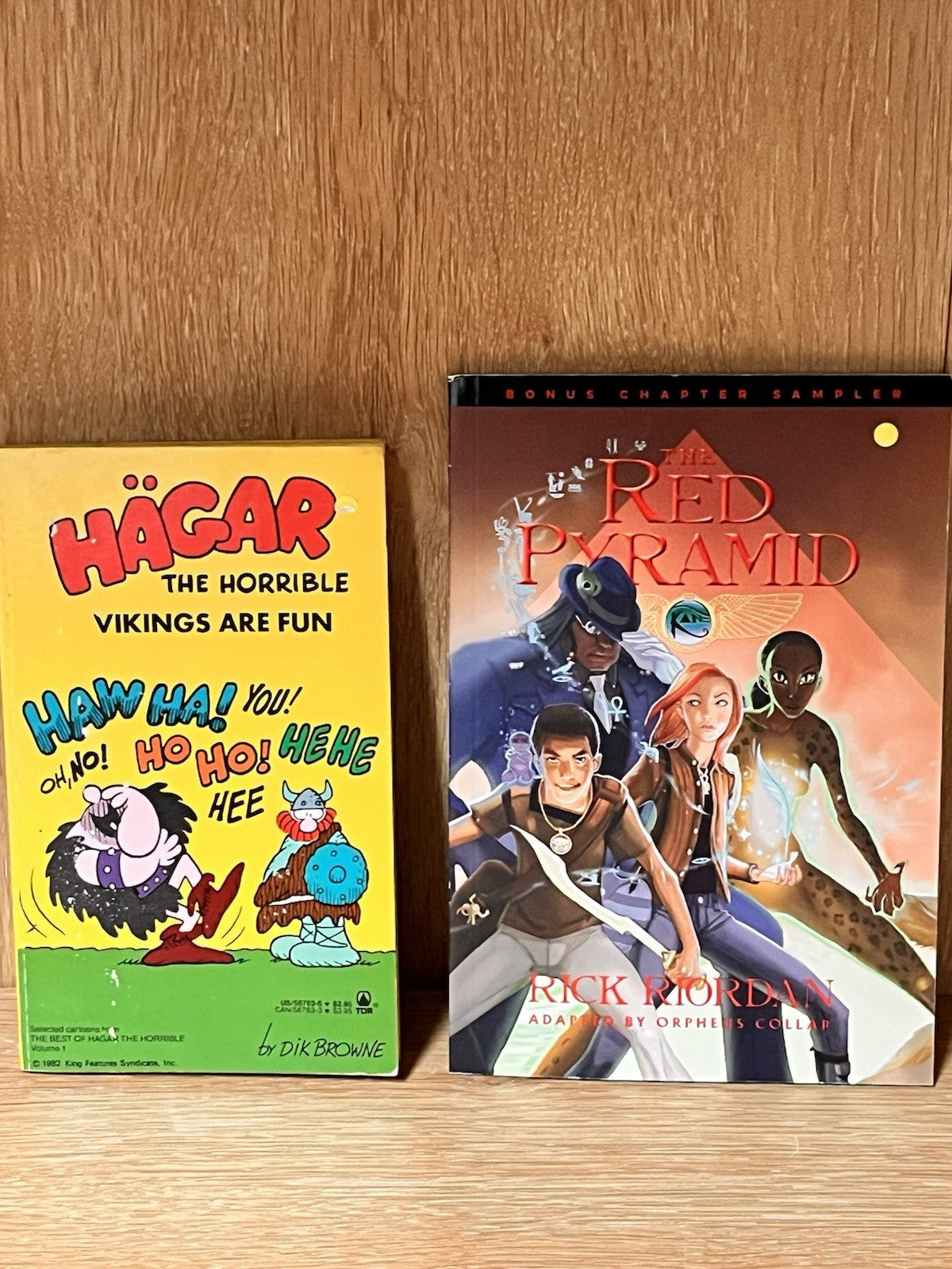 HAGAR THE HORRIBLE: VIKINGS ARE FUN | Herman Melville Typee & Red Pyramid Rick