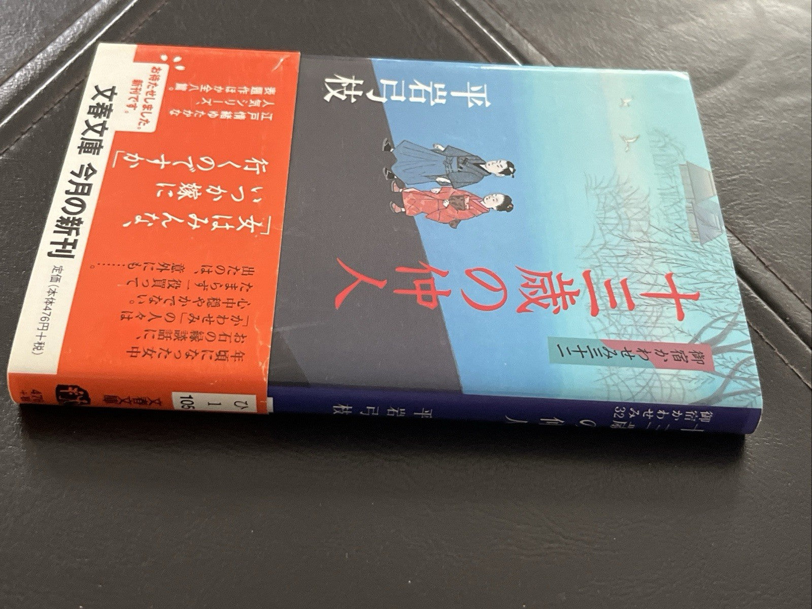Japanese Novel Book Onyado Kawasemi Series Yumie Hiraiwa Hon 平岩弓枝 御宿かわせみ 時代小説  