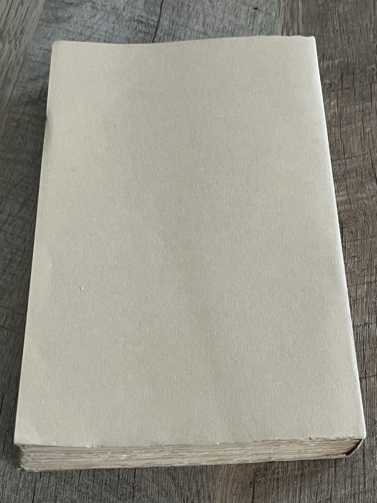 J. M. G. Le Clézio / Terra Amata ( Danish Edition ) 1969