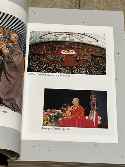 Handing Down the Light The Biography Of Venerable Master Hsing Yun Fu Chi-ying