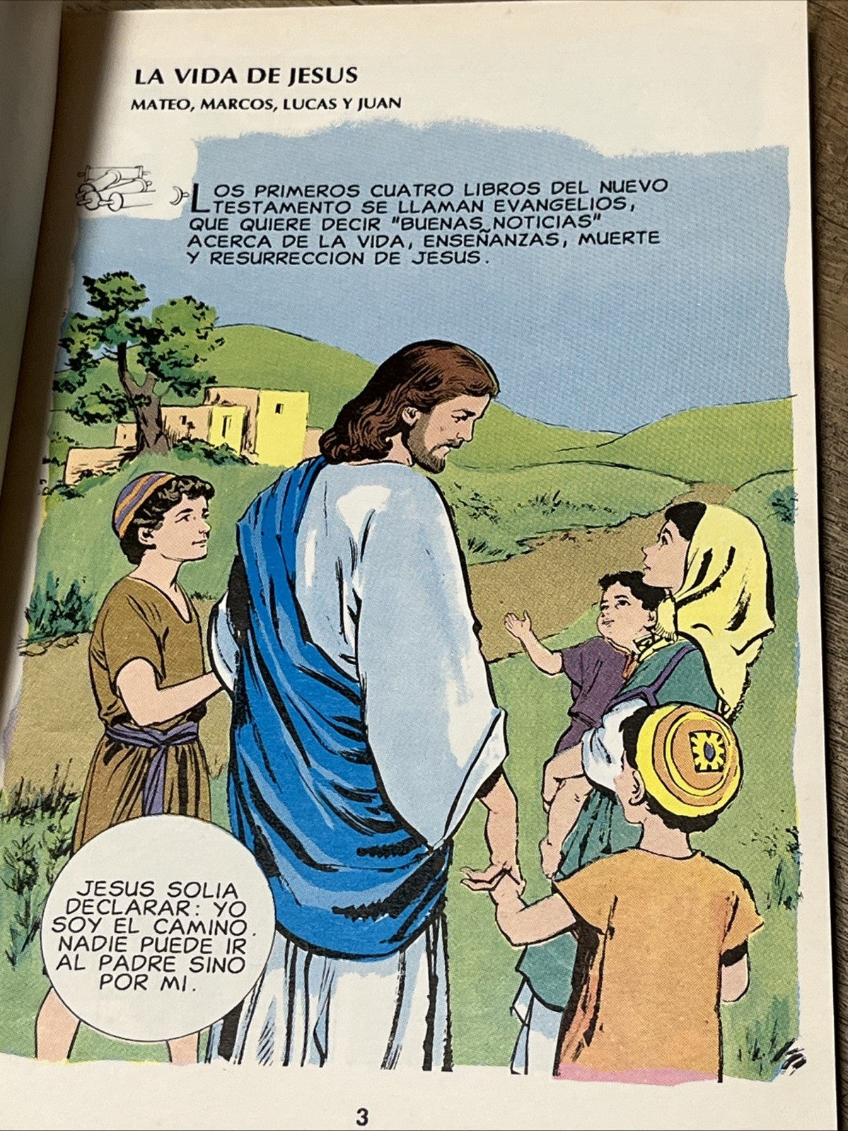 Nuevo Testamento Ilustrado (Spanish Edition) by chariot-victor-publishing