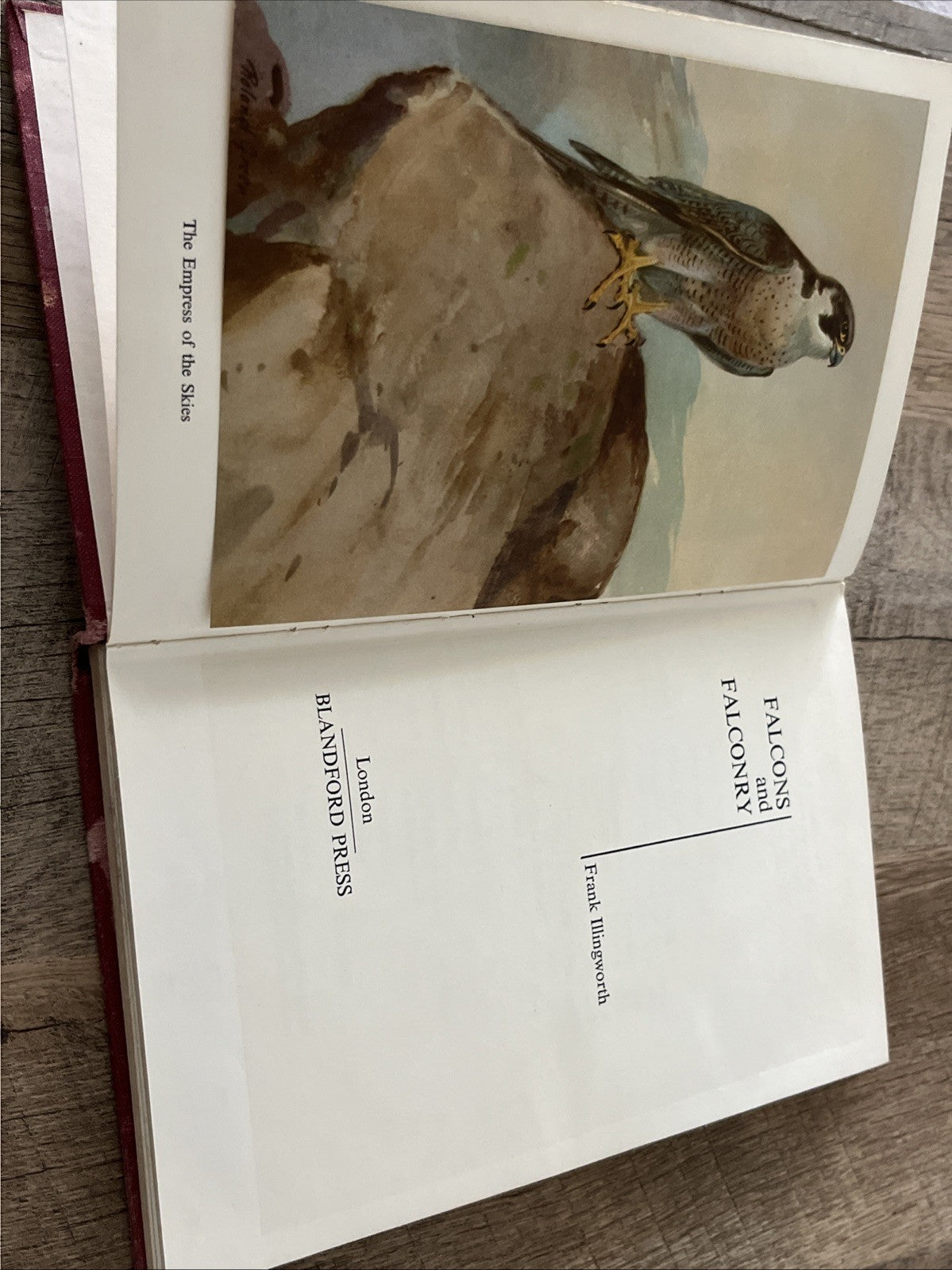 Falcons and Falconry by Frank Illingworth - Hardcover 1964 Acceptable Condition