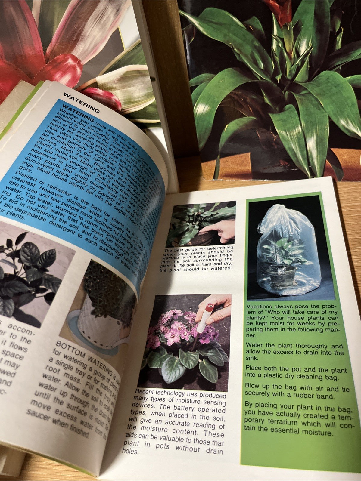 Lot of 4 Books on Indoor Gardening & House Plants The Herb Book, Trees Identity