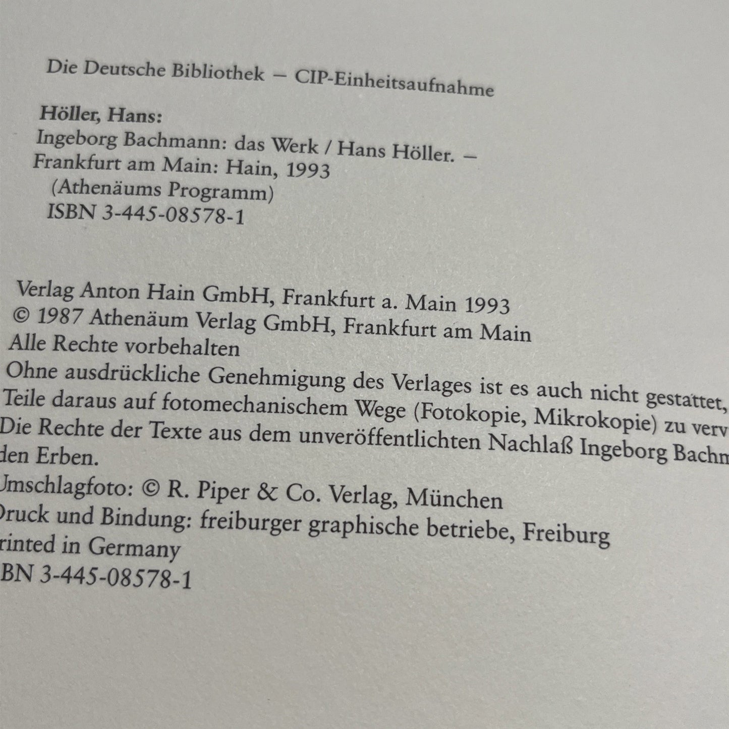 Ingeborg Bachmann Das Werk. Von den frühesten Gedichten bis zum "Todesarten"-Zyk