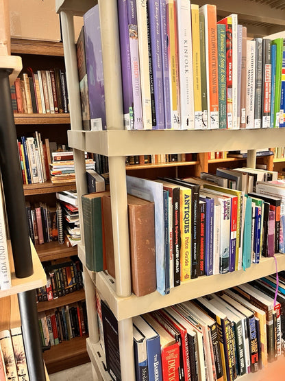 100 Wholesale ReSale Books Lot