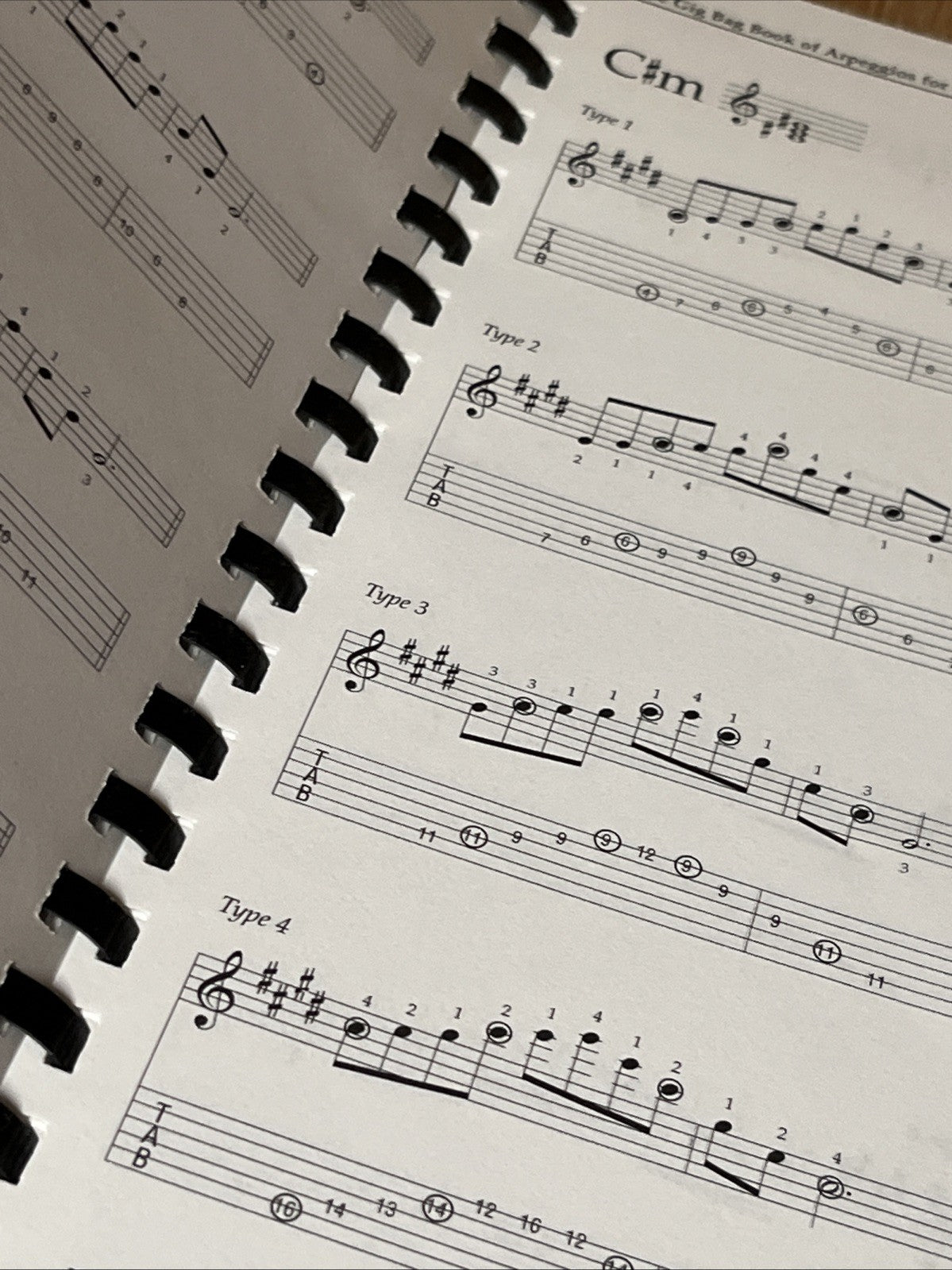 The Gig Bag Book of Arpeggios for All Guitarists by Mark Bridges & Joe Dineen