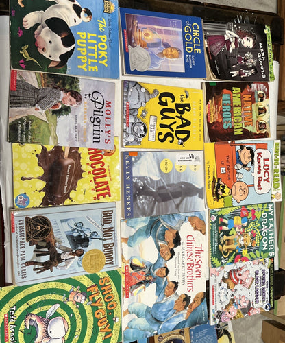 Bulk Lot of 15 Children's Paperback Picture Books Random Mix - acceptable