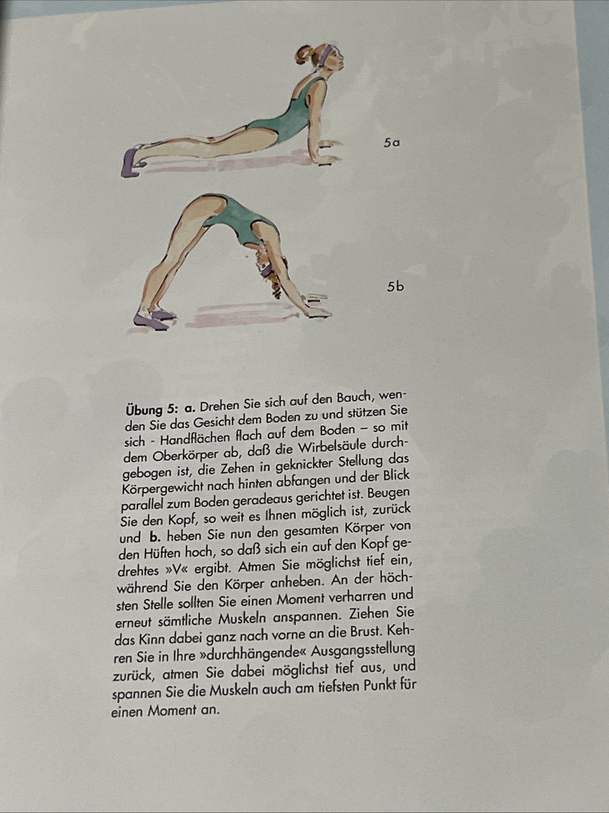 Die perfekte Schönheitspflege, aus dem Schloss Verlag