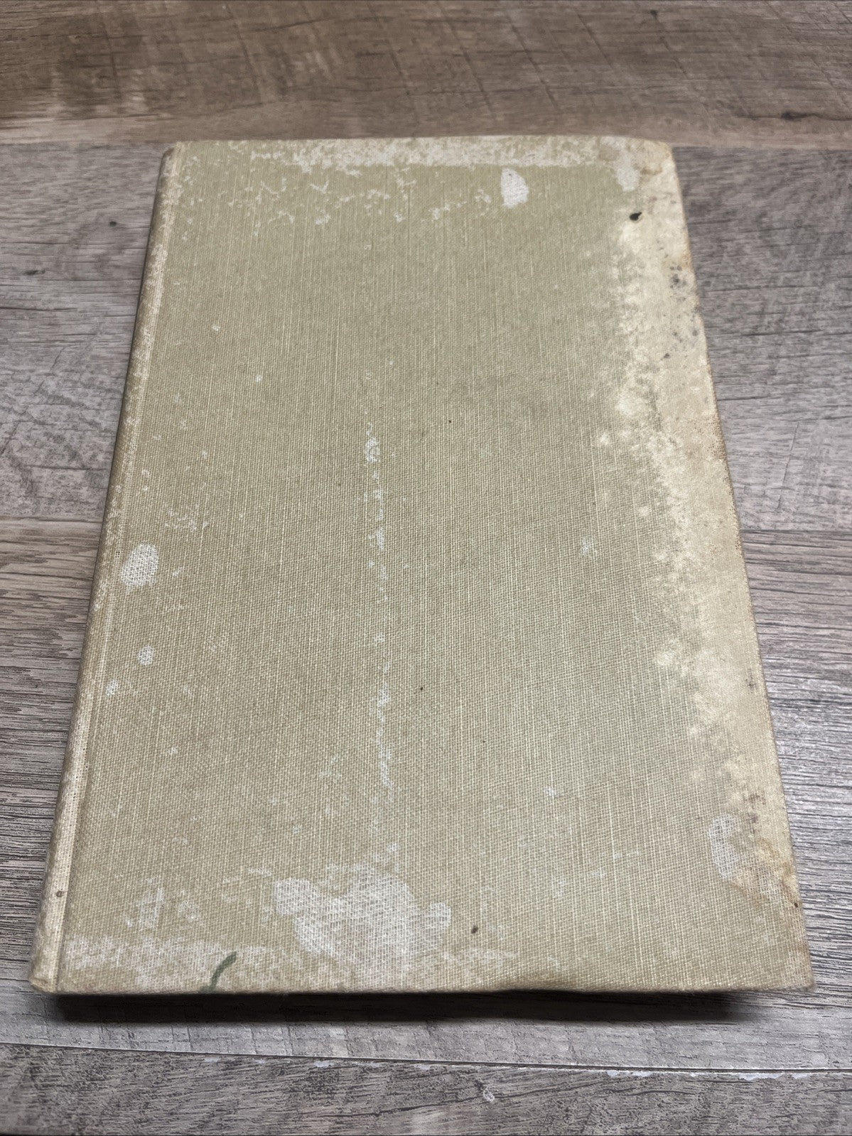 Robert Penn Warren Band of Angels 1st Edition 1955