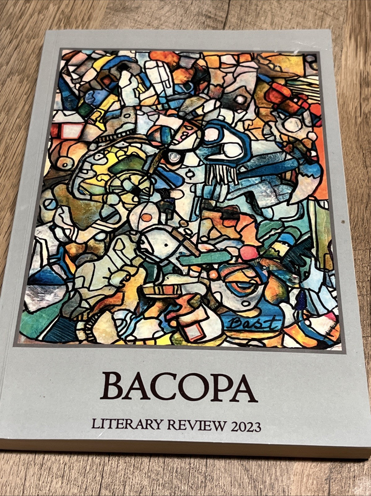 Bocapa Literary Review 2023 Alliance Of Gainesville 