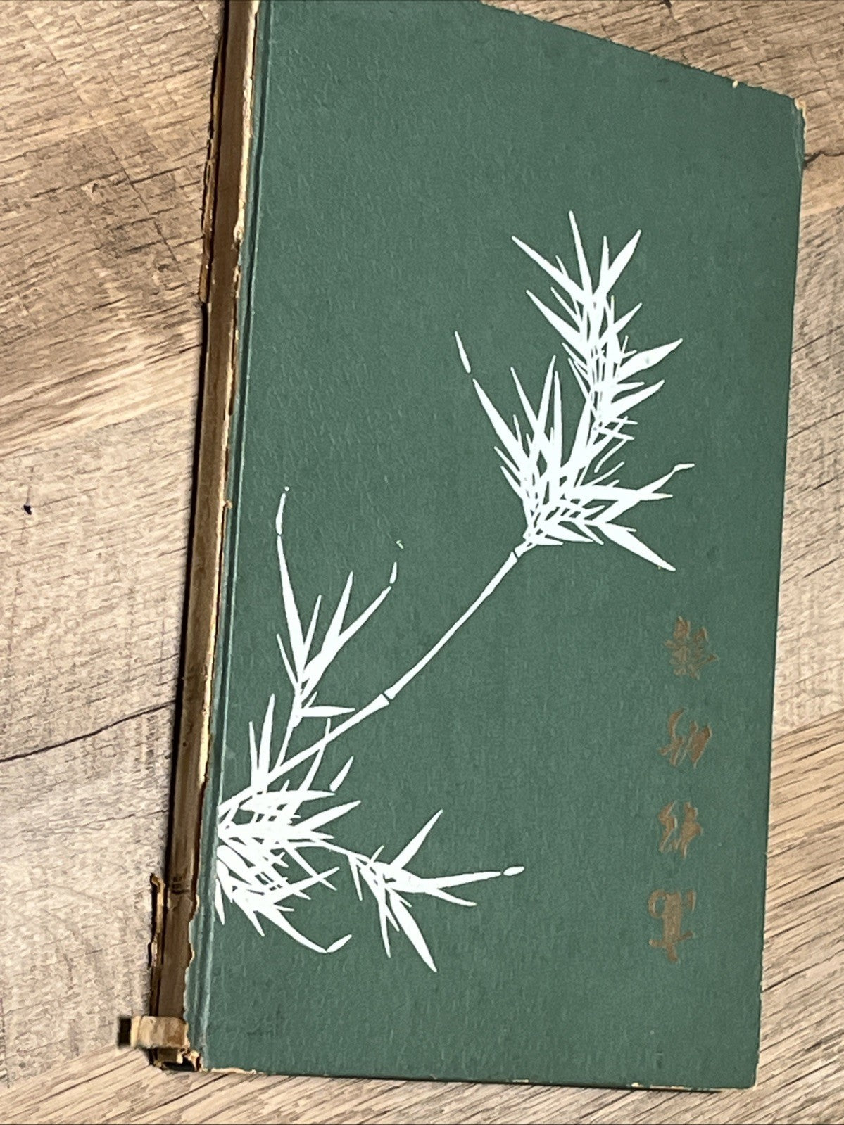 Chinese Character Exercise Book for practicing calligraphy Gao Song Fang Pu
