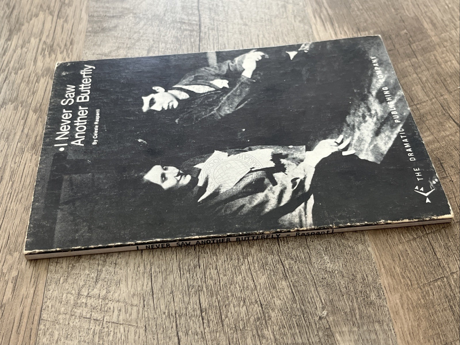 I Never Saw Another Butterfly, Celeste Raspanti 1971 Vintage Paperback