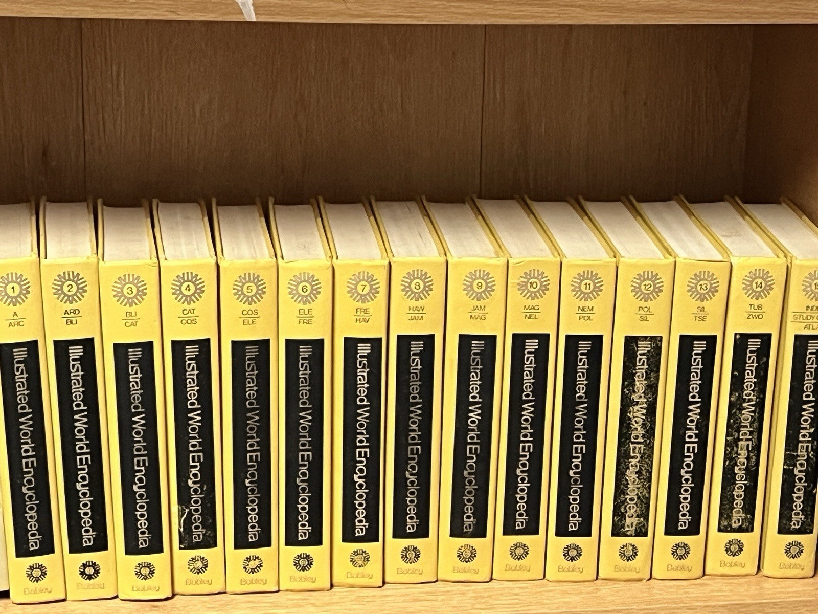 Illustrated World Encyclopedia  Volume 1 - 15 Complete Set 1972