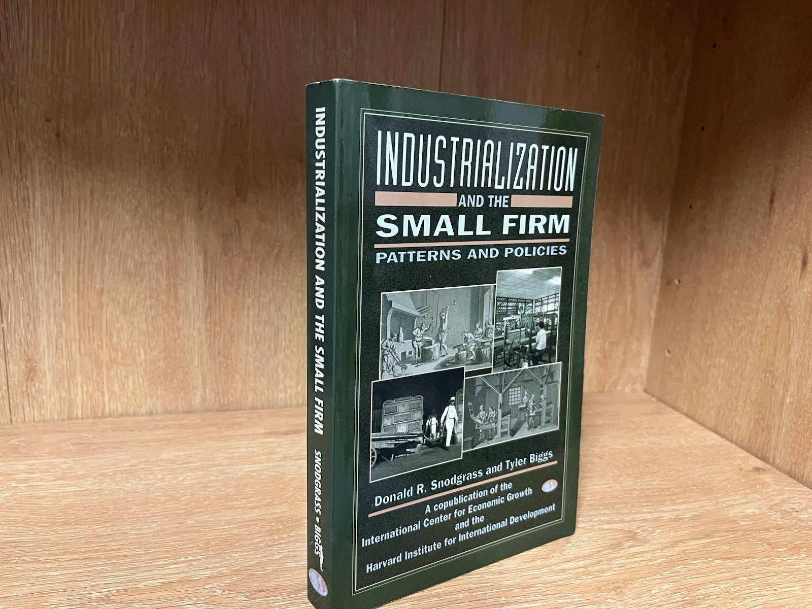 Industrialization and the Small Firm: Patterns and Policies ,Donald R. Snodgrass