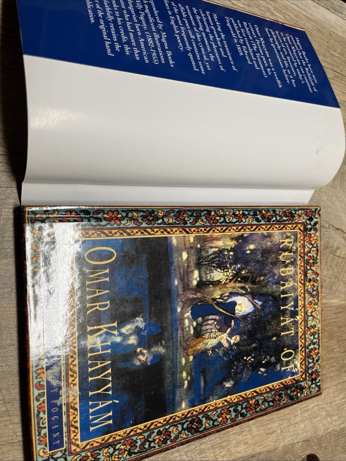 Rubaiyat of Omar Khayyam Illustrated by Willy Pogany 1992 Hardcover