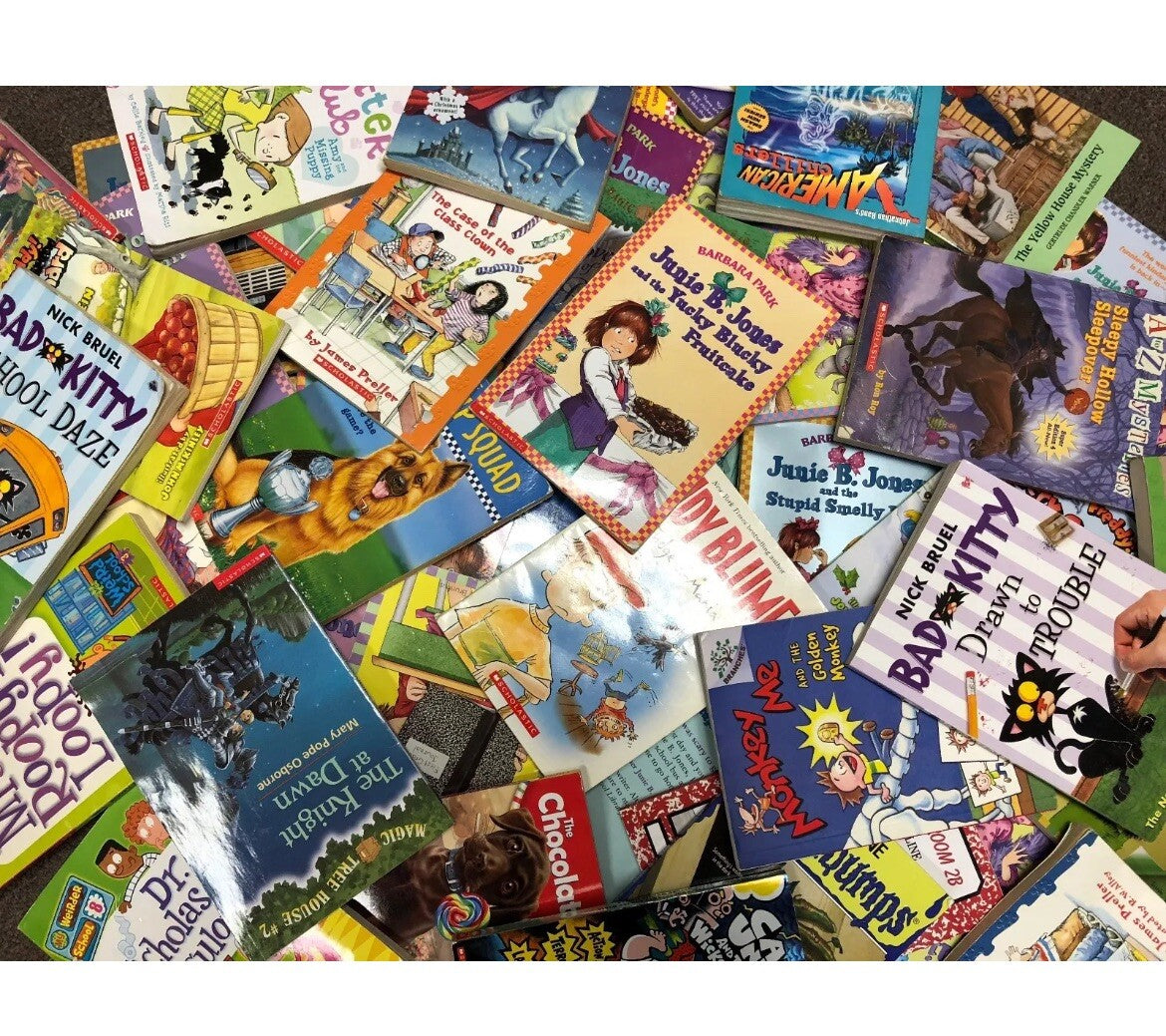 Lot of 30 kids young instant library chapter books bundle paperback - GOOD