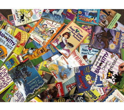 Lot of 30 kids young instant library chapter books bundle paperback - GOOD
